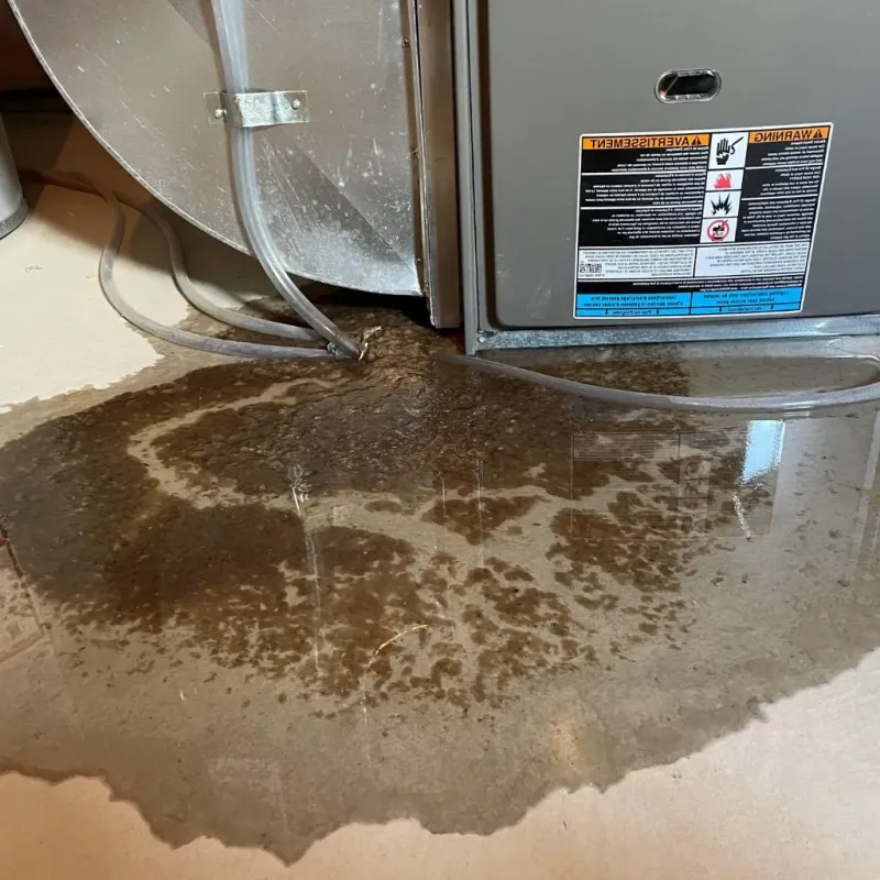 Pipe Burst and Leak Restoration in Swartzville, PA