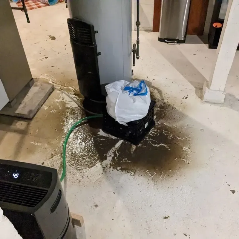 Sewage Backup Cleanup Service in Swartzville, PA